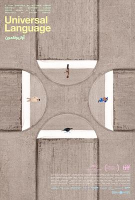 共同的語言